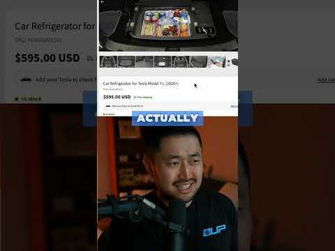 Cover image for Jowua Model Y L Fridge Review: 33L Tesla Cooler