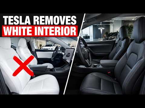 Tesla Model Y White Interior Removed for Zen Gray featured image