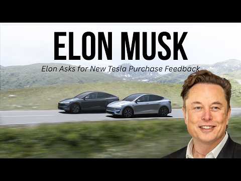 Elon Musk Seeks Tesla Buying Feedback: My Thoughts and Must-Have Accessories featured image