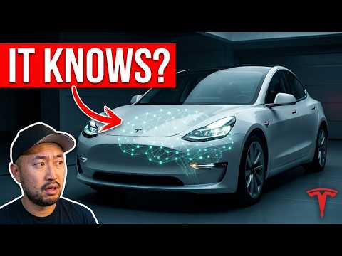 Tesla FSD Acts Human: Epic Stoplight Maneuver, Cybercab Rollout, and Essential Accessories featured image