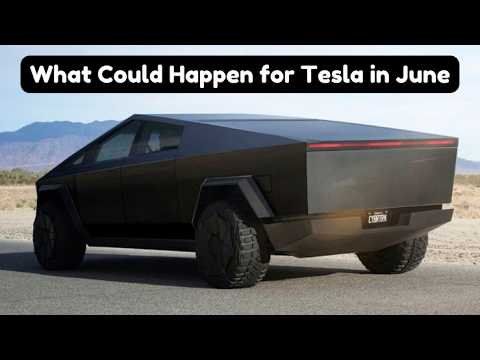 Tesla Updates and Must-Have Accessories for June featured image