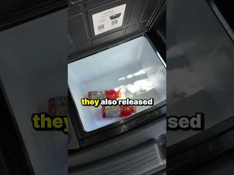 Cover image for Jowua Model Y Fridge Review: Better Than Tesla?