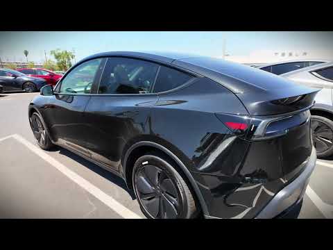 Discovering the Magic of Diamond Black on Tesla featured image