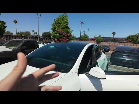 Cover image for Tesla Model Y Clear Tint: Legal Heat Rejection