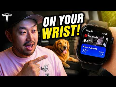 Tesla Pet Mode Now Shows on Apple Watch featured image